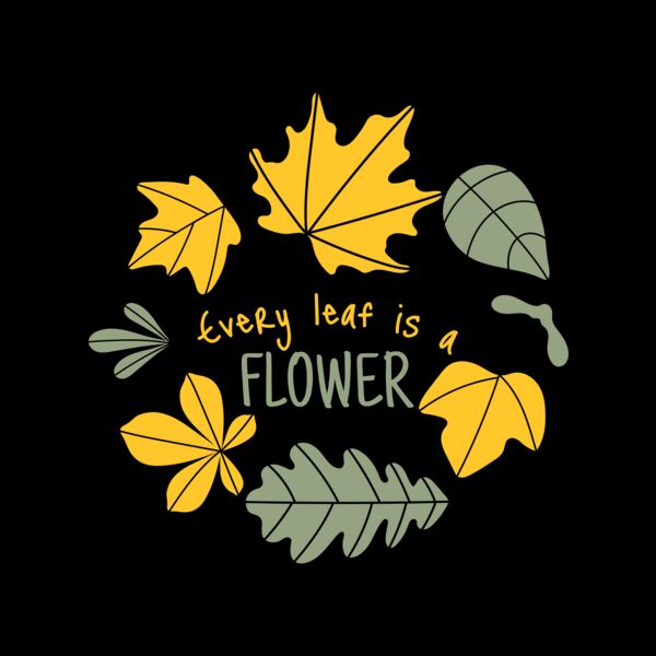 Fall Season 13 Thumbnail