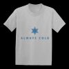 Youth EcoSmart ® 50/50 Cotton/Poly T Shirt Thumbnail