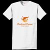 Authentic 100% Cotton T Shirt with Pocket Thumbnail